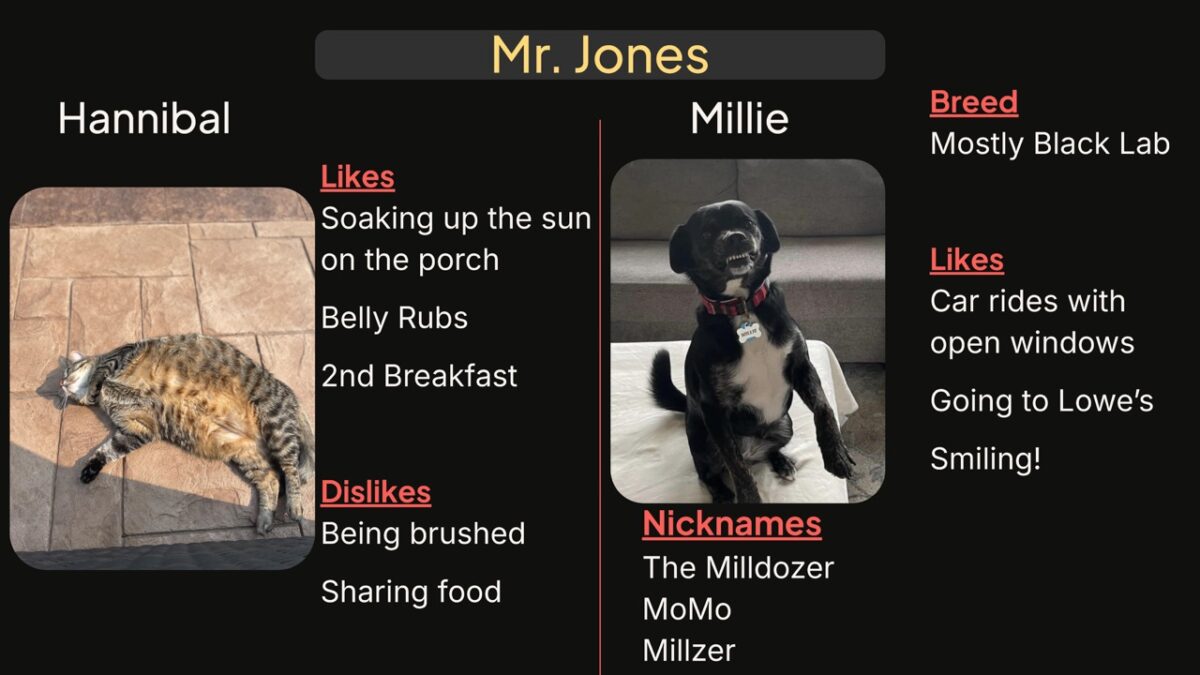 This is a series of slides featuring "Hillside Pets" so staff and students can get to know staff pets